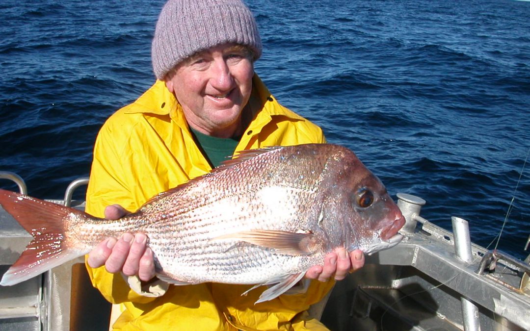 Nice Snapper