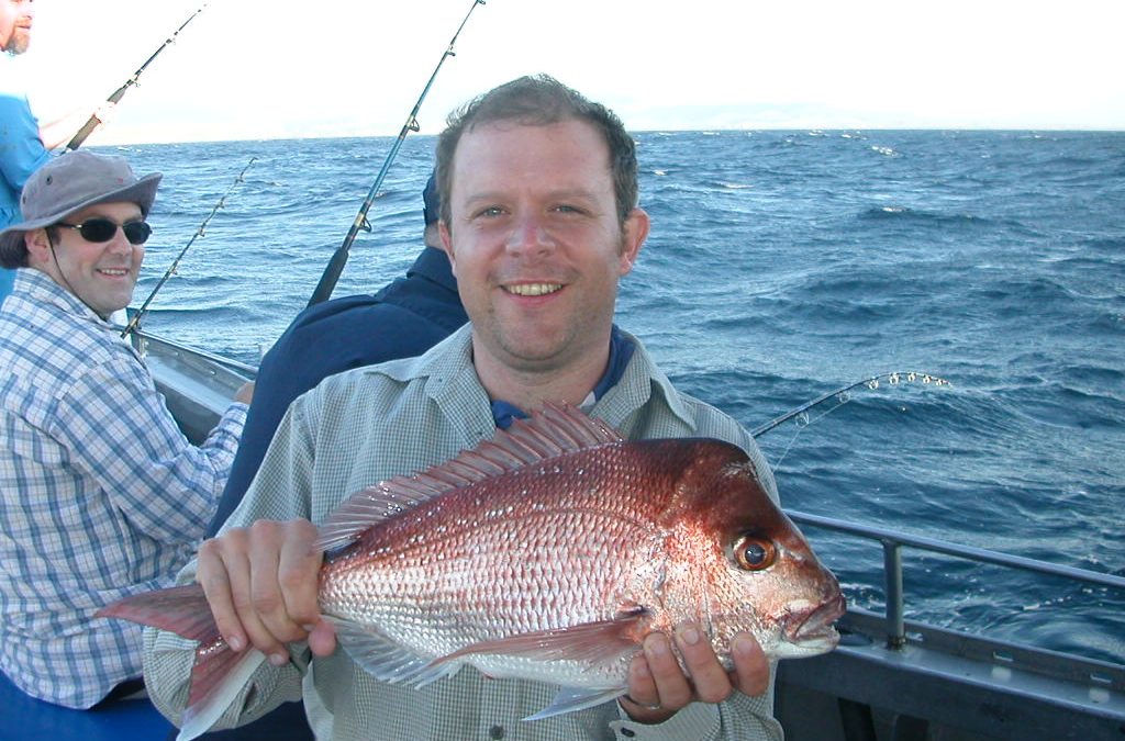 Nice Snapper